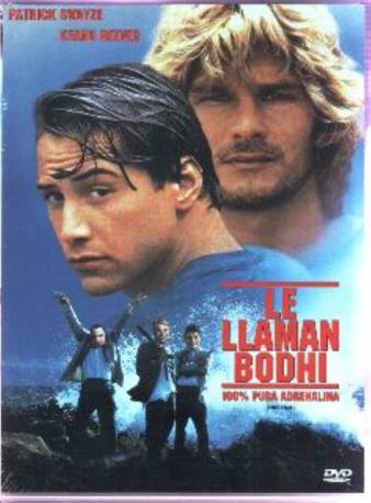 LE LLAMAN BODHI DVD 2MA